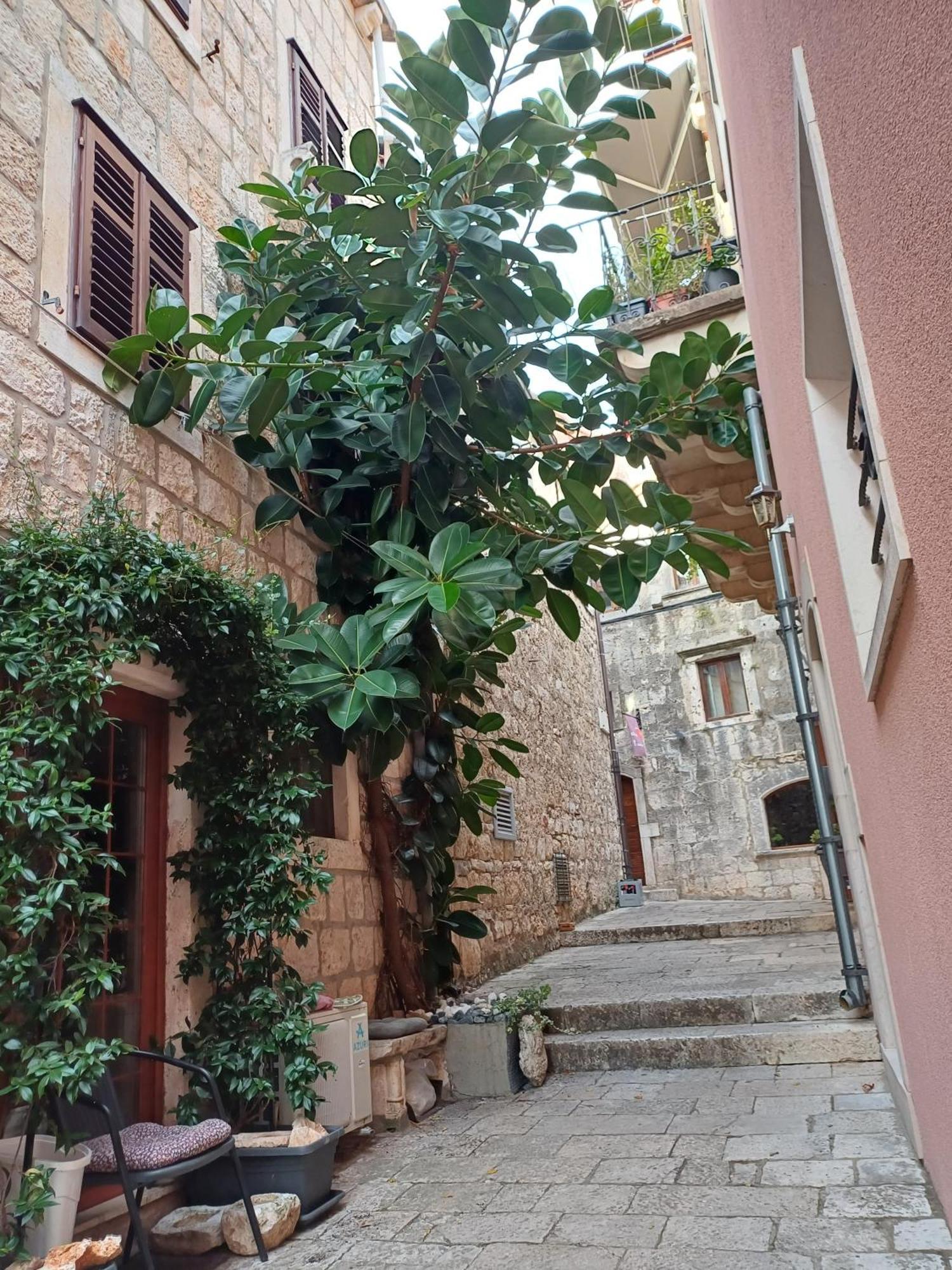 Guest House Jungher Korčula Zewnętrze zdjęcie